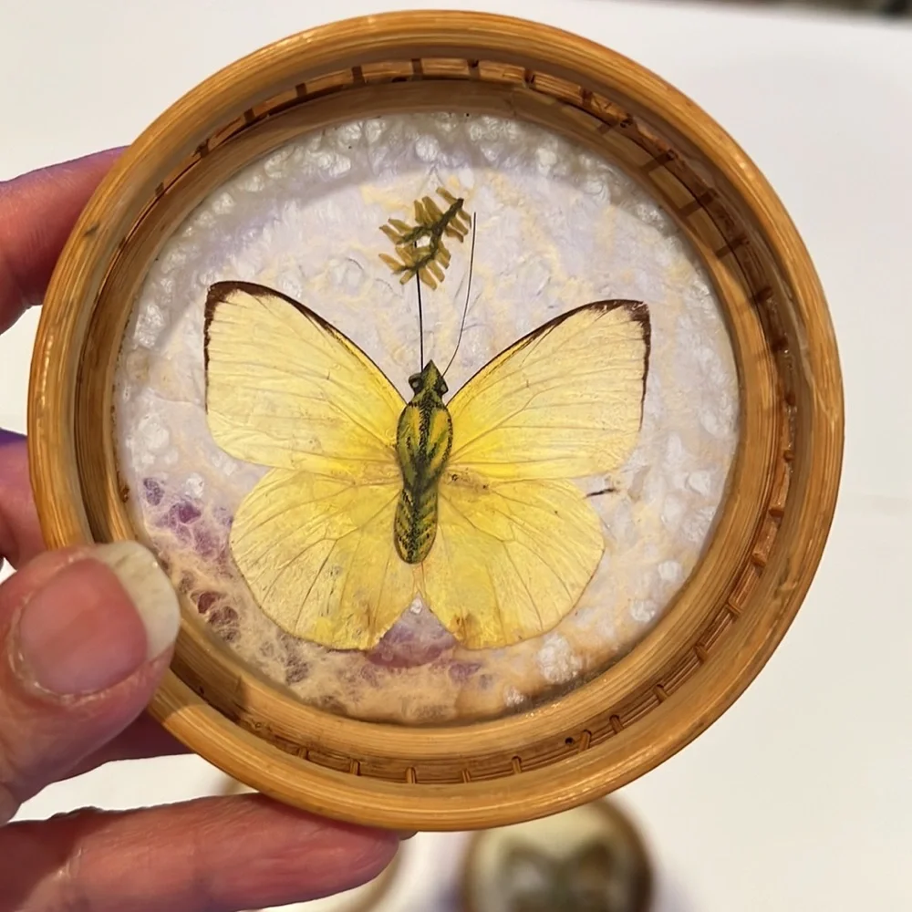 Vintage bamboo pressed butterfly coasters